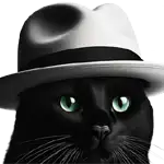 BCWHverse: Black Cat White Hat