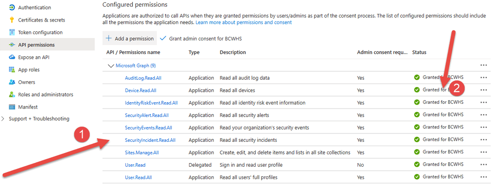 Black Cat White Hat Security - Azure App Permissions